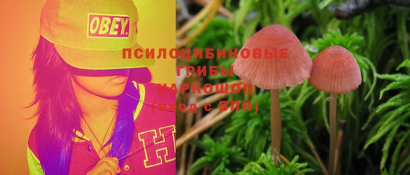 наркошоп  Верхняя Салда  Псилоцибиновые грибы Magic Shrooms 